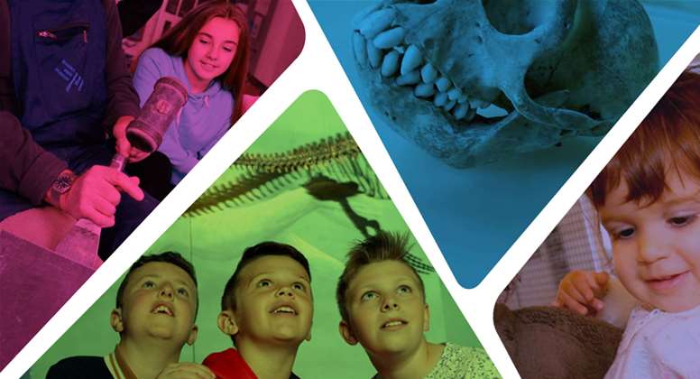 Welsh Museums Festival: Be amazed!